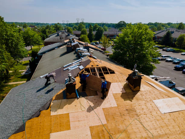 24/7 Emergency Metal Roofing experts in Tyro, VA